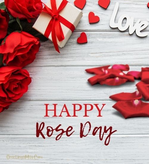 Happy Rose Day My Love